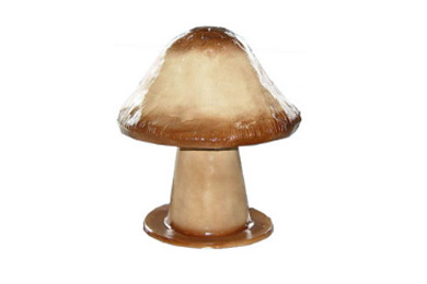 產(chǎn)品展示